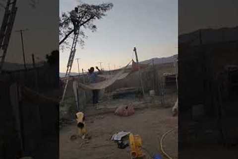 Man Falls Whilst Trimming Branches