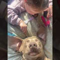 Young Girl Pampers Her Puppy