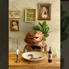 Fine Dining With a Bearded Dragon