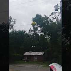 Balloon Takes Out Powerline Transformer