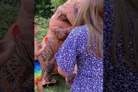 Kid Punches T Rex At Birthday Party