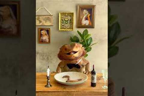 Fine Dining With a Bearded Dragon