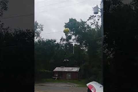 Balloon Takes Out Powerline Transformer