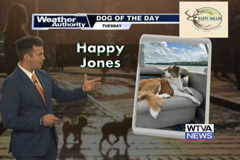 Dog Walk Forecast for September 24 – Happy Jones