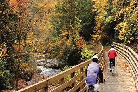 Cycling in Charlottesville, VA: A Cyclist's Guide to Fall Foliage