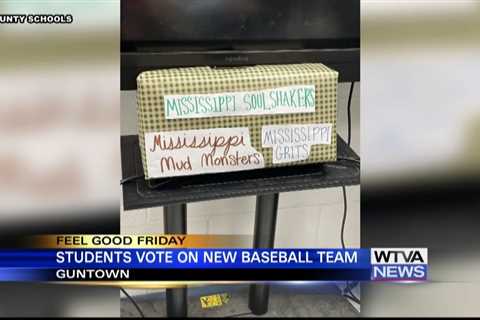 Guntown students vote on new baseball team