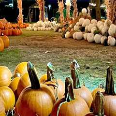 The Best Fall Festivals in Tarrant County, Texas