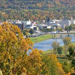 The Political Landscape of Chemung County, NY: An Expert's Perspective