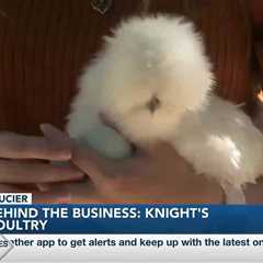 Behind the Business: Knight Poultry