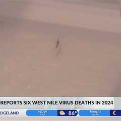 Mississippi reports six West Nile Virus deaths in 2024