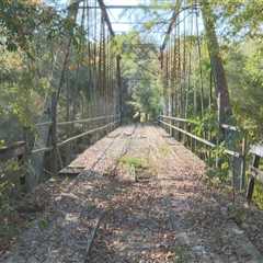 Spooky Local Location Recognized in Recent Survey