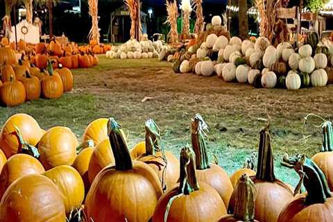 The Best Fall Festivals in Tarrant County, Texas