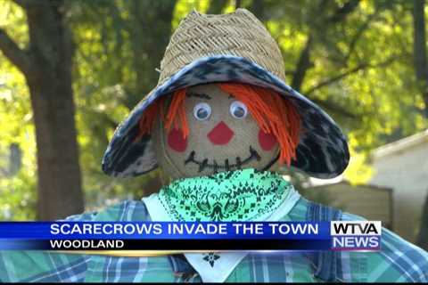 More than 85 scarecrows rise up in Woodland