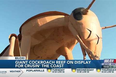 Cockroach reef on display along Highway 90 for Cruisin’ the Coast