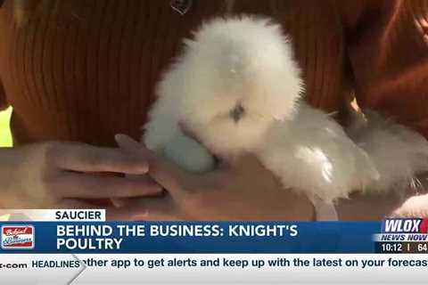 Behind the Business: Knight Poultry