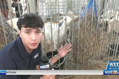 Jackson County Blue Ribbon Fair Preview