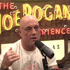 Joe Rogan endorses Donald Trump for 2024 election after Elon Musk interview