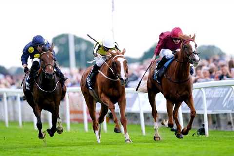 Today on Sky Sports Racing: Cheltenham Festival winner You Wear It Well makes chase debut at Bangor ..