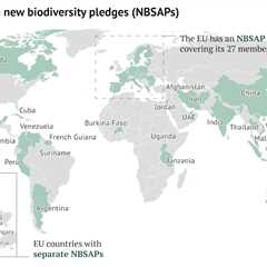 COP16: Key outcomes agreed at the UN biodiversity conference in Cali, Colombia