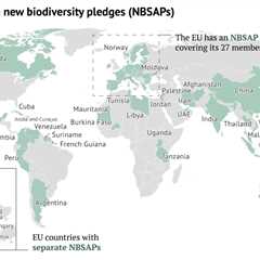 COP16: Principales resultados acordados en la conferencia de la ONU sobre biodiversidad en Cali,..