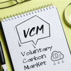 VCM Demand Surge: 147 Million Credits in 2024 Retired Amid Tightening Supply