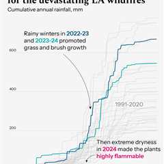 Climate change helped turn LA into dry tinderbox before fires, scientists find