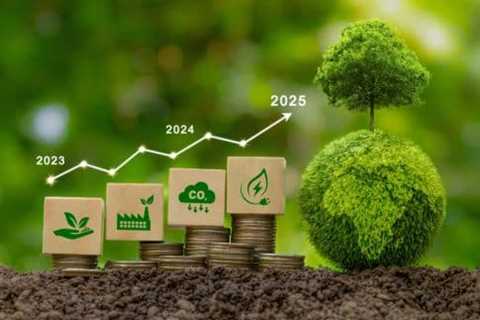 Carbon Credits in 2024: What to Expect in 2025 and Beyond ($250B by 2050)