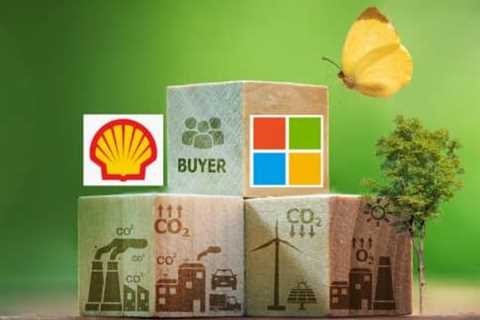 Shell and Microsoft Are The Biggest Carbon Credit Buyers in 2024: What Projects Do They Support?