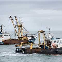 Analysis: The Intersection of Fish, Defence, and Brexit Negotiations