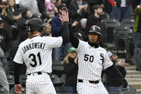 Travis Jankowski Designated as White Sox Reinstate Mike Tauchman