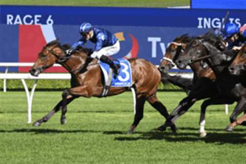 Inglis Sires’ Results 2025: Vinrock Achieves Unique Double