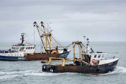 Analysis: The Intersection of Fish, Defence, and Brexit Negotiations