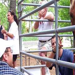 The Joy of Volunteering at Horse Shows in Currituck County, North Carolina
