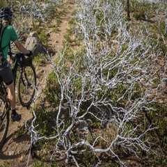 The Ultimate Guide to Long-Distance Biking in Washington County, Oregon