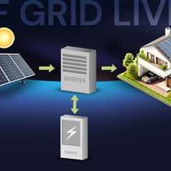 How to Live Off the Grid | Off Grid Living 101