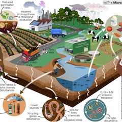Agricultural Soil Can Contain Microplastics at 23x Higher Concentrations Than What Oceans Hold,..