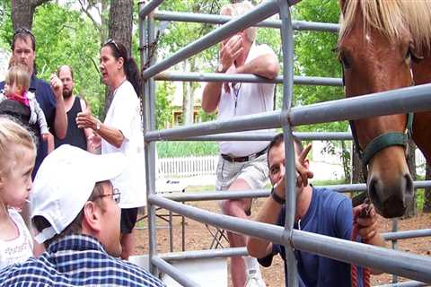 The Joy of Volunteering at Horse Shows in Currituck County, North Carolina
