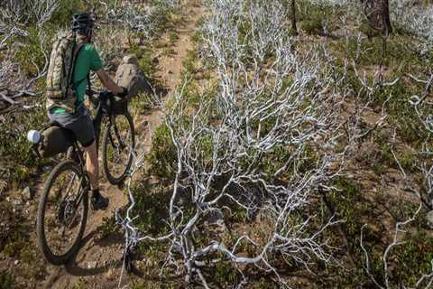 The Ultimate Guide to Long-Distance Biking in Washington County, Oregon