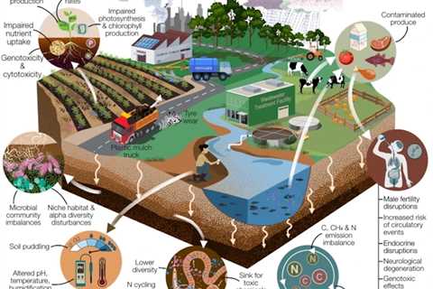 Agricultural Soil Can Contain Microplastics at 23x Higher Concentrations Than What Oceans Hold,..