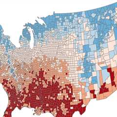 The Power of Diversity and Representation in Democracy: Insights from Southeast Texas