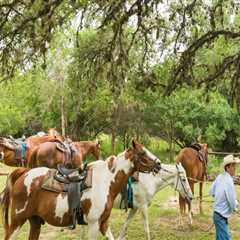Celebrating Diversity in West Central Texas: Embracing Differences and Building Community