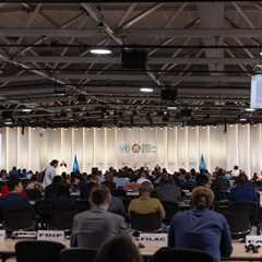 Cropped 18 June 2025: High Seas Treaty ratifications; Ocean warming woes; Brazilian deforestation..