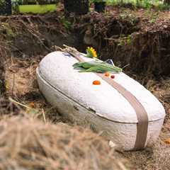 First-Ever Mushroom Casket Burial in North America Could Signal Cultural Shift Toward More..