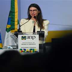 Brazilian activists vow to fight Amazon oil auction in court, hail ‘partial victory’ over unsold..