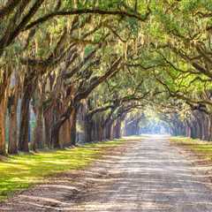 The Ultimate Guide to Planning Your Annual Holiday in Southeast SC