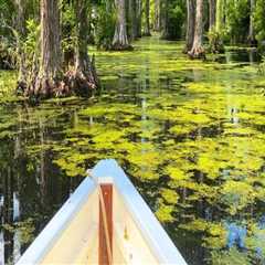 The Ultimate Guide to Day Trips and Excursions in Southeast SC