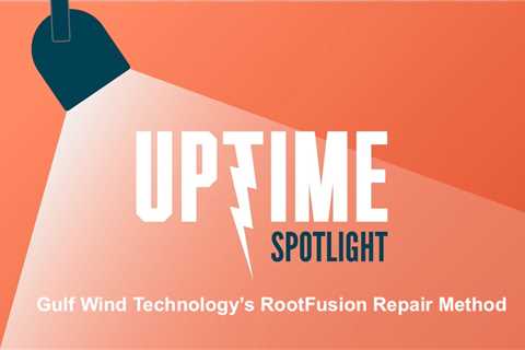Innovative Repair Option for Blade Root Bushing Deterioration