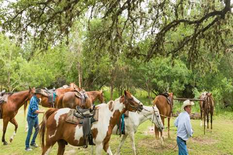 Celebrating Diversity in West Central Texas: Embracing Differences and Building Community