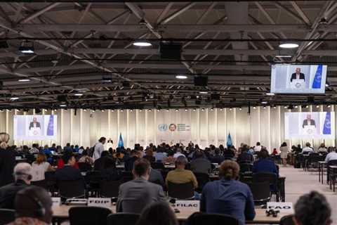Cropped 18 June 2025: High Seas Treaty ratifications; Ocean warming woes; Brazilian deforestation..