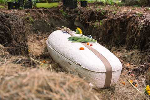 First-Ever Mushroom Casket Burial in North America Could Signal Cultural Shift Toward More..